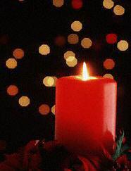 Candle surrounded by poinsettias